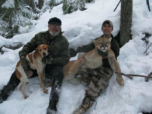 Gerald's Mountain lion hunt 172.jpg