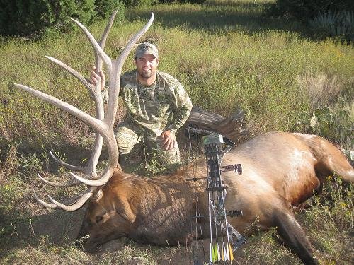 bowsite pic.JPG bowsite pic.JPG