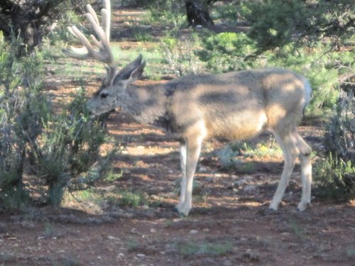 Colorado Trip 2010 005.JPG