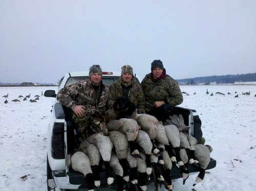 20 goose 2.jpg