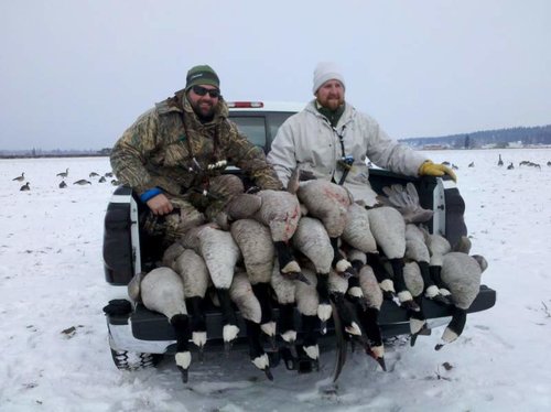 20 goose 3.jpg