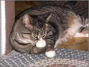 middle_finger.jpg