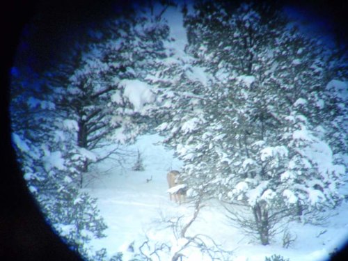 P1031986.jpg P1031986.jpg