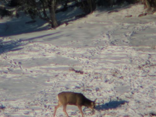 P1031992.jpg P1031992.jpg