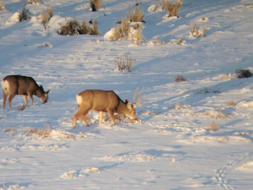 P1031996.jpg P1031996.jpg