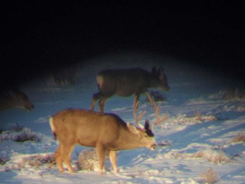 P1031998.jpg P1031998.jpg