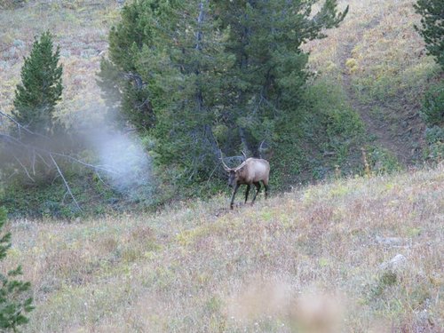 elk camp2008 034.jpg