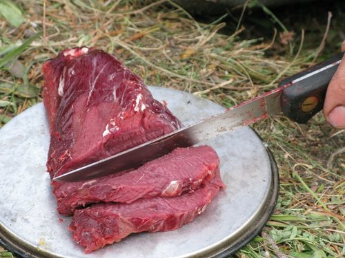 elk camp2008 121.jpg