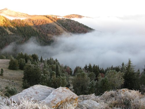 elk camp2008 175.jpg