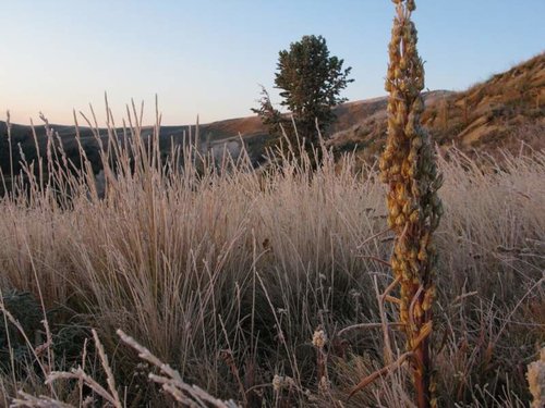 elk camp2008 166.jpg