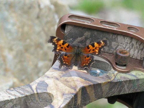 elk camp2008 219.jpg