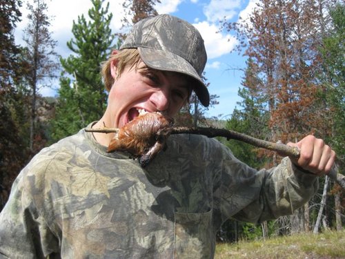 BowElk6.jpg