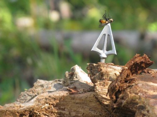 Gerald and Irene's house 542.jpg