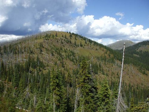 Priest LK 2010 001.jpg