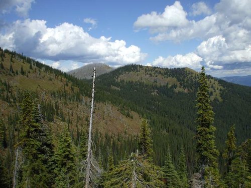 Priest LK 2010 002.jpg