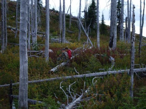 Priest LK 2010 005.jpg