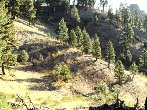 cell phone, 2010 008.jpg