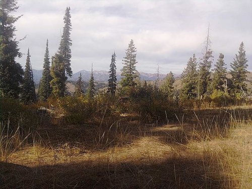 cell phone, 2010 042.jpg