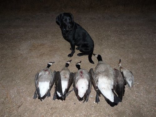 PuebloLimit011611 014.jpg