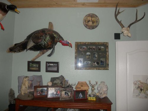 trophy room pics 014.jpg