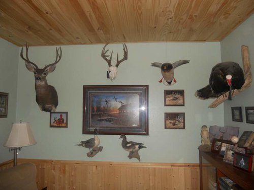 trophy room pics 013.jpg