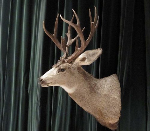 IMG_0639.jpg IMG_0639.jpg
