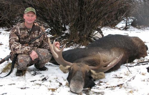 moose 2 (836 x 538).jpg