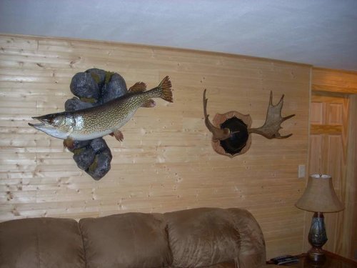trophyroom 005.jpg
