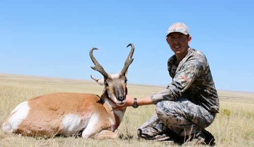 NM Pronghorn.jpg