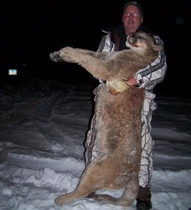 biglionss.jpg