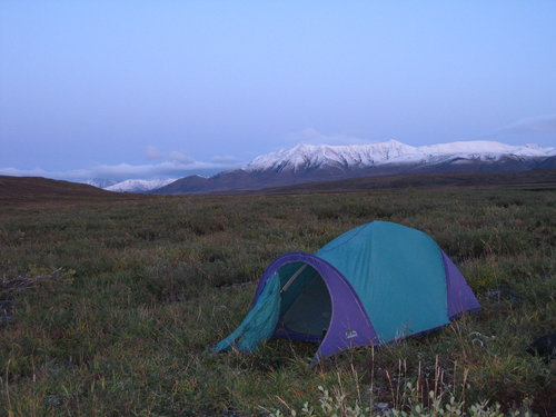 caribou_camp.jpg