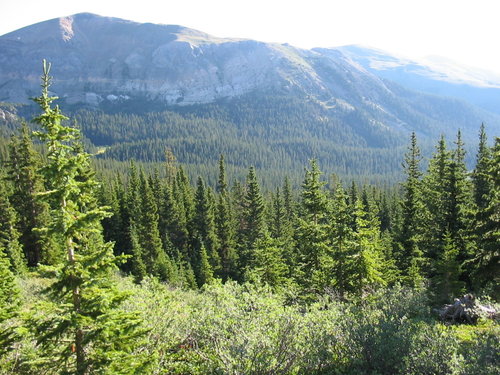 IMG_0569.jpg