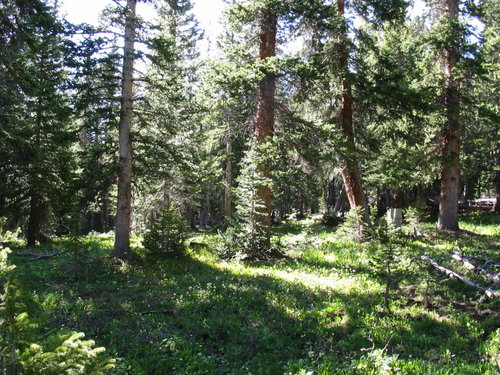 IMG_0539.jpg