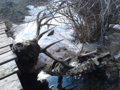 20180312_155825.jpg