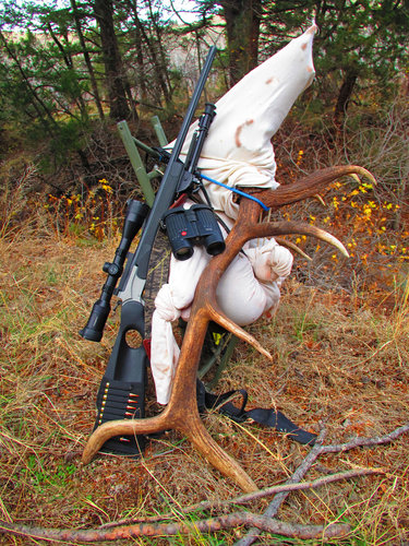 Last load - 2014 Backcountry Bull..JPG