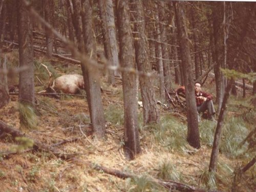 East fork elk.jpg