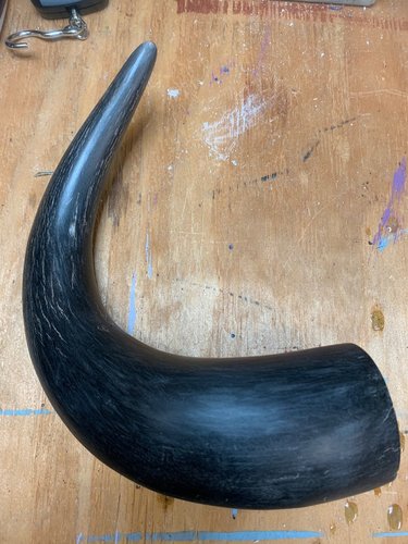 horn.jpg horn.jpg