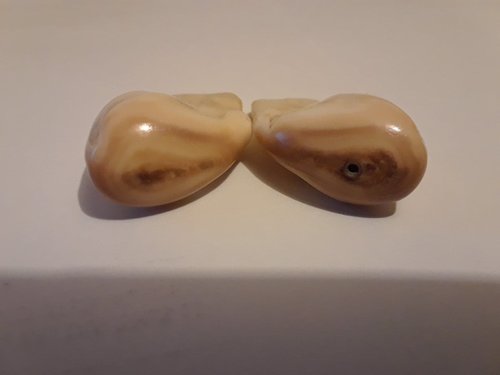 89597232_204722104196241_3909239212313935872_n.jpg 89597232_204722104196241_3909239212313935872_n.jpg