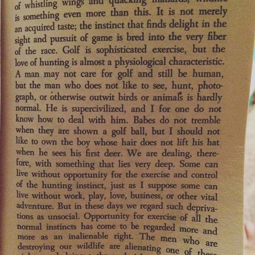 06224187-C279-4E11-B0C6-1C0708B8D5DC.jpeg 06224187-C279-4E11-B0C6-1C0708B8D5DC.jpeg