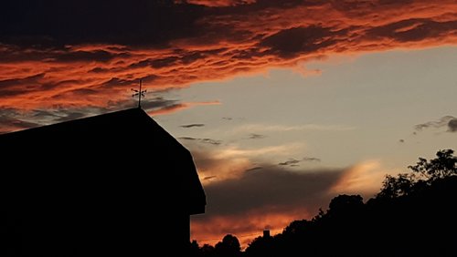 20190802_204149.jpg