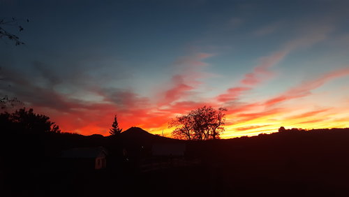20191018_190619.jpg