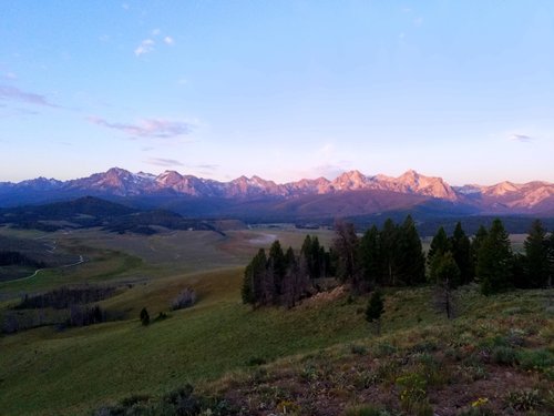 20190727_063517.jpg