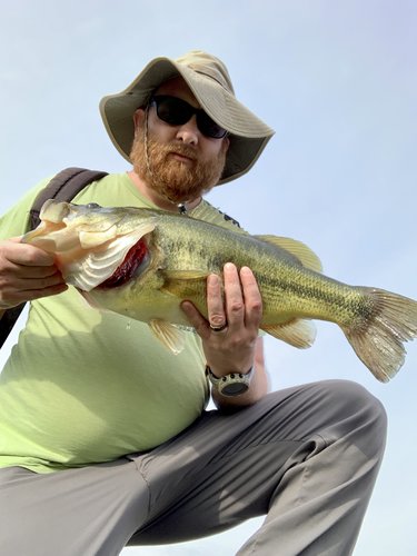 24CF70D7-BDF4-453C-BED1-6E446A56A152.jpeg 24CF70D7-BDF4-453C-BED1-6E446A56A152.jpeg