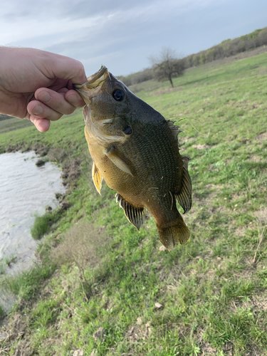 3217A113-9E58-40C2-B04D-FEC810B73AB1.jpeg 3217A113-9E58-40C2-B04D-FEC810B73AB1.jpeg