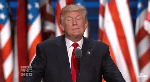 giphy (8).gif