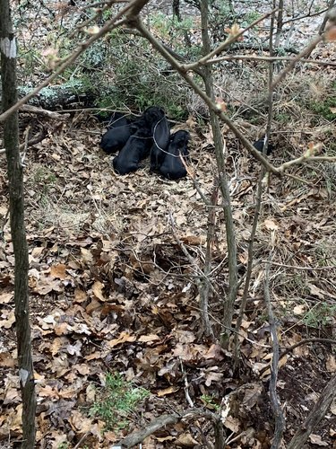 FCC0BC3D-F8F1-42B4-9309-F9447387F197.jpeg FCC0BC3D-F8F1-42B4-9309-F9447387F197.jpeg