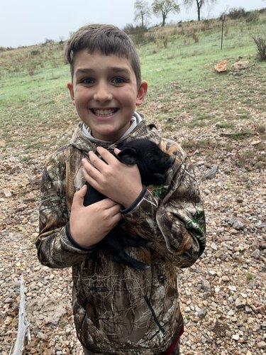 45A6D727-0C77-46A2-A07D-334AE8E97A92.jpeg 45A6D727-0C77-46A2-A07D-334AE8E97A92.jpeg