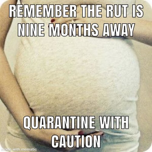 rut.jpg