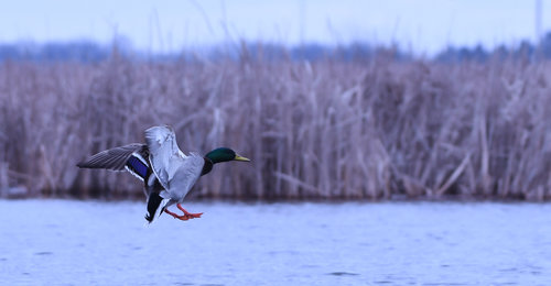 DSC_2667.jpg DSC_2667.jpg