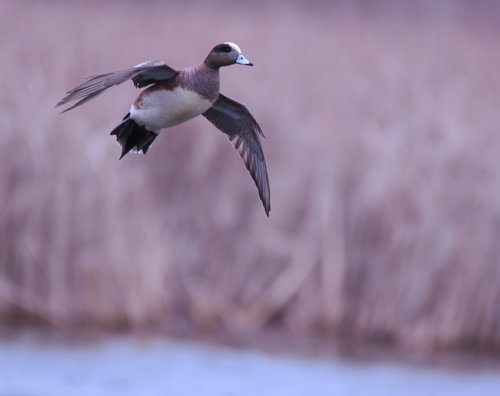 DSC_2776.jpg DSC_2776.jpg